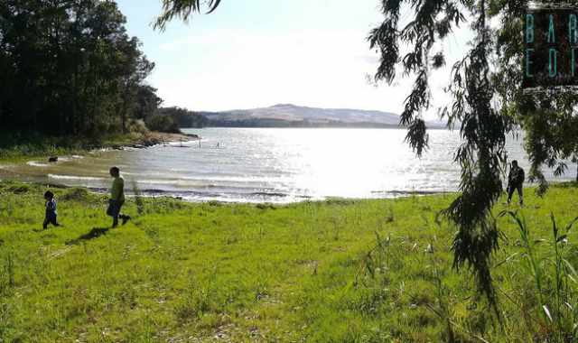 Non solo pasquette: tra balene, laghi e natura alla scoperta della Diga di San Giuliano